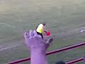 Selja proslavlja Goool njegovim poznatim ritualom