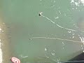 Jauntal Bungy Jump Jauntal Bungy Jump