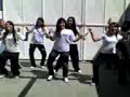 A NOVA Dancinha do Siri