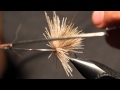 Flugbindning - Streaking Caddis (Flugor för fjället)