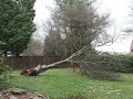 After the fall After the fall