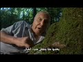 Amzing Slag (Snail) mating تزاوج مدهش لأحد أنواع البزاقات