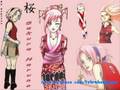 Sakura Haruno 