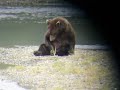 Masterbating Bear... Conan O\