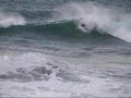 stupid surf stupid surf