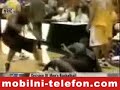 Smesni Klipovi 4 kos do bola  www.telefonmobilni.com