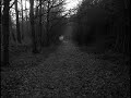 performed by forest stream