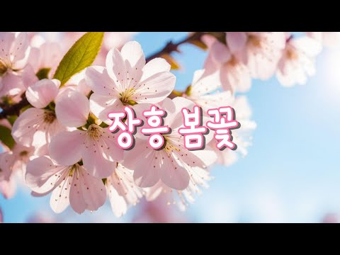 장흥 봄꽃