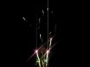 Lands End Fireworks 1 Lands End Fireworks 1