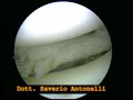 Le migliori immagini del mondo Le migliori immagini del mondo