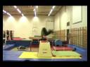 Tommi Trick Training