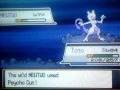 Pokemon Heart Gold and Soul Silver Mewtwo Encounter! Exclusive Gameplay From GCPM11