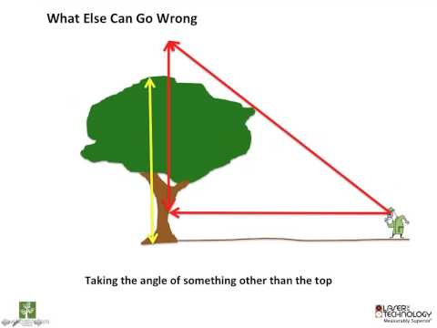 how to measure height of a tree