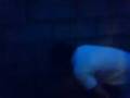 videos de MOV00047.3GP