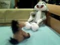 funny funny bugs bunny very very funny