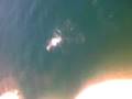 videos de paredon!.3gp