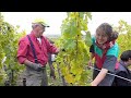 Riesling 2008 Rittersberg Domaine Jean-Paul Schmitt Riesling 2008 Rittersberg Domaine Jean-Paul Schmitt