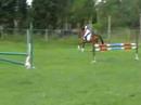 horlic