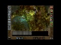 Click here to watch this video LP together: Baldur's Gate 2 #050: Prekäre, seminatürlich-druidische Insubordination