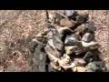 Contemporary sculpture made of rocks for RU sculpture class Spring 2009 Art and video editing by John Hornick Music by Pretty Lights