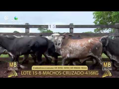 532� LEIL�O VIRTUAL MB LEIL�ES