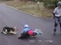 Funny Dogs & Pups