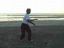 Chen Style Tai-chi