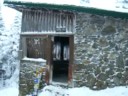 killington puffn at coopers cabin