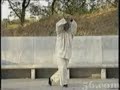 Wang Pei Sheng 37 posture [2/2]