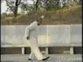 Wang Pei Sheng 37 posture [2/2]