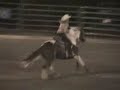 Barrel Racing - Rodeo Barrel Racing - Rodeo