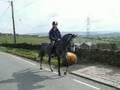 videos de My for eva missed loan pony Triston x