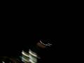 videos de 100 0164