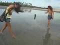 videos de Laure attaquee par les abeilles