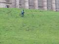 bundalele no schloss wilhelmshoher