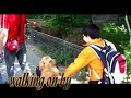 Off leash story! Off leash story!