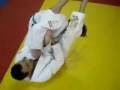 Golpes de Jiu-Jitsu
