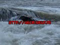 albi kayak canoe (akc) vous pr�sente une petite  vid�o du selectif r�gional de midi-pyr�n�es (septembre 2006)au 