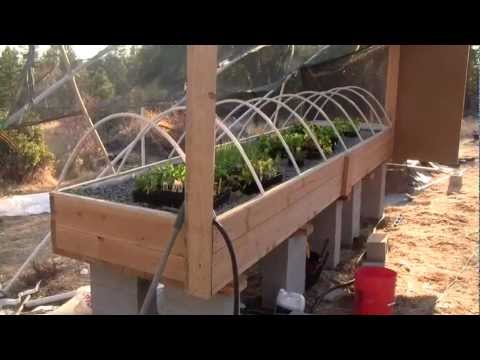 Designing a Sustainable Aquaponics System: An Inventor's Touch