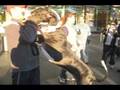 Gigantic Dogs 2