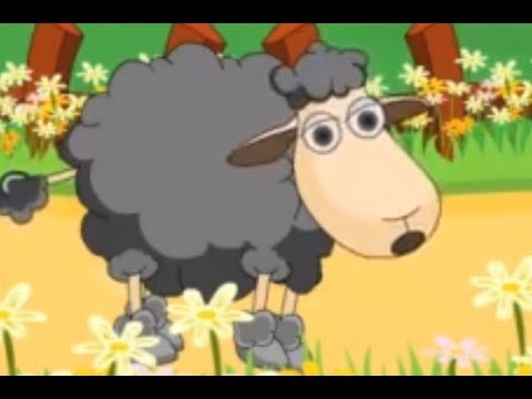 Baba black sheep rhyme video download