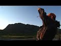 Storrøya hugger