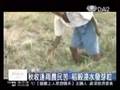 20081108 秋收逢雨緬甸農民苦 稻榖浸水發芽粒
