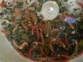 Methane Worms