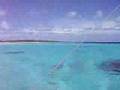 Marshall Islands Outer Island outrigger wa kurkur