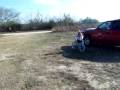 videos de Riding my bike #2