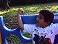 Anthony pt1 Anthony pt1