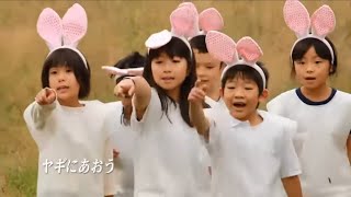 メリーランドへGO！GO！