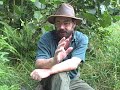 EatTheWeeds: Episode 43: the Sumac