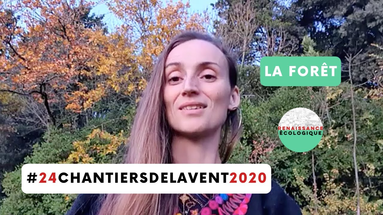 La forêt #24ChantiersdelAvent2020 - Renaissance Ecologique